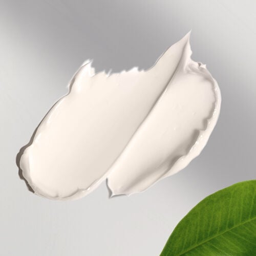 Green Tea Clarifying Mask image number null